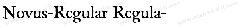 Novus-Regular Regula字体转换